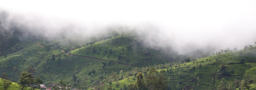 Nuwara Eliya_International Backpacking