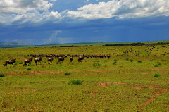 6362329323_0d8853c348_m