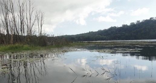 Tamblingan lake-bali